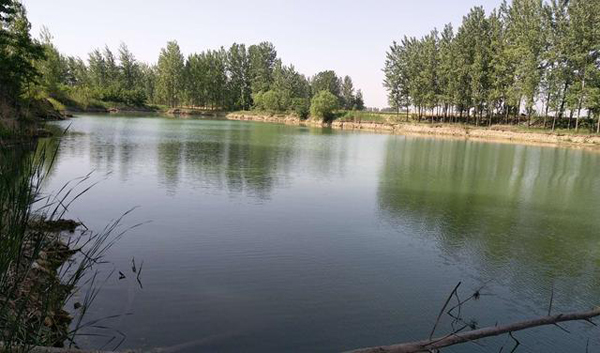 安徽太和:一村支书私自采砂把集体土地租赁给他人被投诉