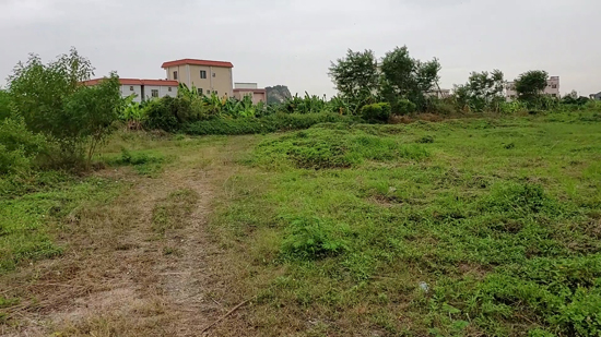 奇葩!男子競拍土地後發現土地不在管理人指定位置