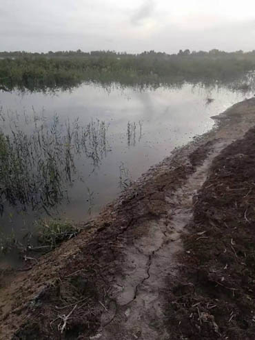 男子訴稱其承包林地被淹28畝損失慘重