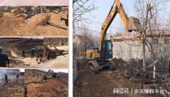 山東泰安:村書記「濫伐林木」終止調查,村民表態繼續維權