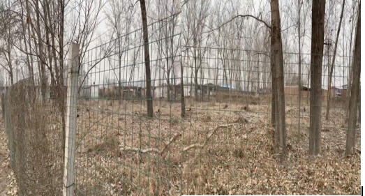 唐山灤南涉嫌盜竊者成功競選村委員 莫讓集體資產成了少數人的「家宴」