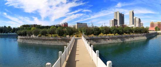 平顶山市石龙区:用磁场效应,催生能力作风建设“蝶变”