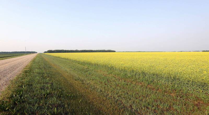 加拿大驚傳小飛機「空中相撞」！2名飛行學員罹難